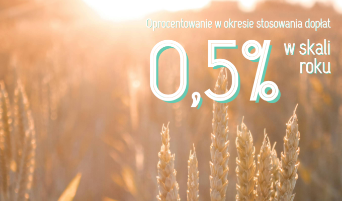 obraz przedstawia plecak szkolny